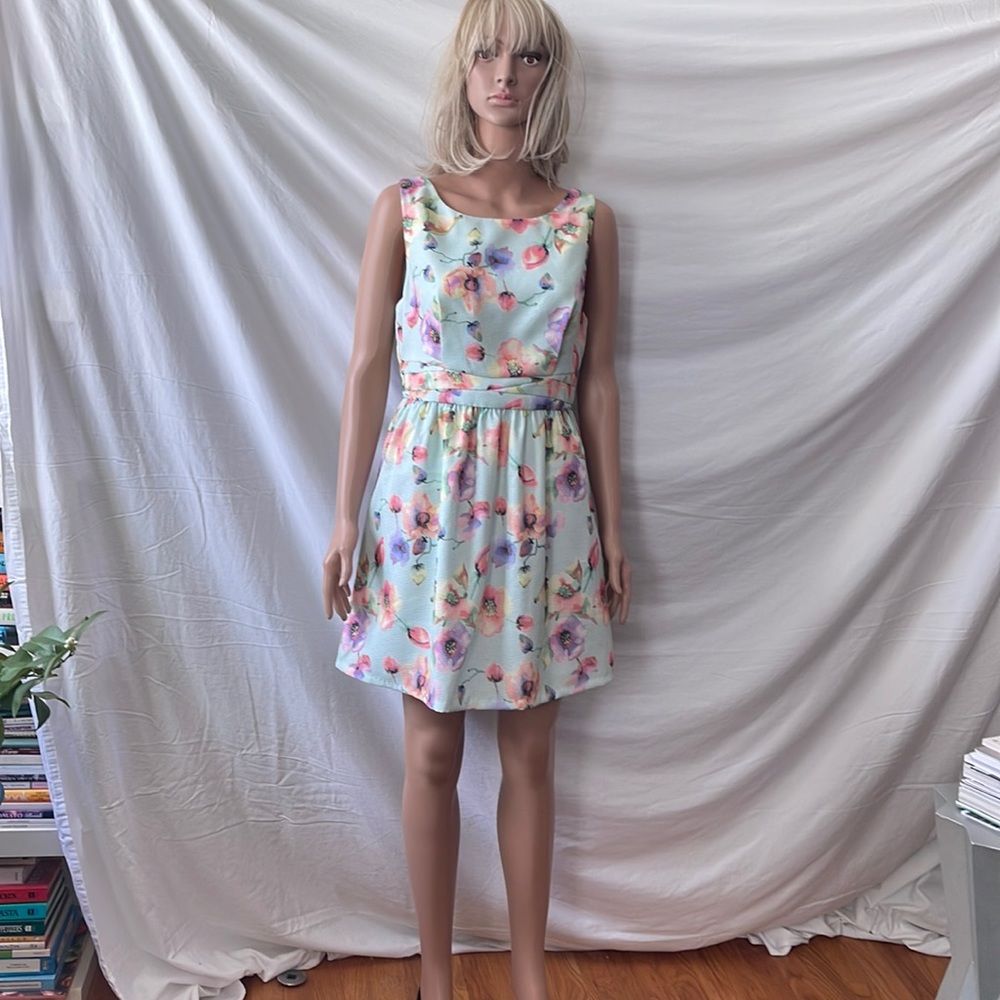 Adeline exquisite mint floral dress, fully lined, size M NWT